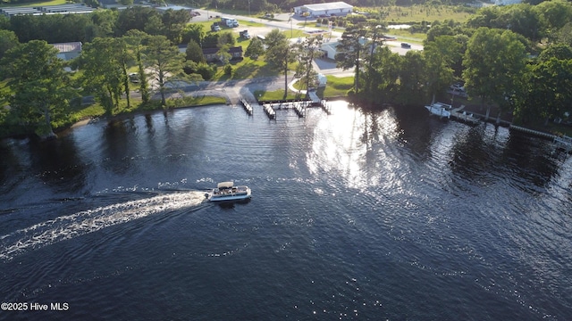 119 Perrytown Loop Rd, New Bern, NC 28562 - water view