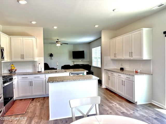 119 Perrytown Loop Rd, New Bern, NC 28562 - kitchen with a sink, stainless steel appliances, white cabinetry, a ceiling fan, and light wood-style floors