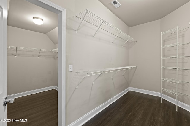 113 Percy Padgett Ct, Holly Ridge, NC 28445 - spacious closet with wood finished floors