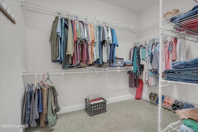 3878 White Blossom Cir, Southport, NC 28461 - walk in closet featuring carpet