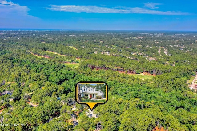 3878 White Blossom Cir, Southport, NC 28461 - view of property location with a forest