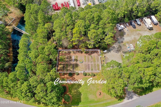 3878 White Blossom Cir, Southport, NC 28461 - bird's eye view