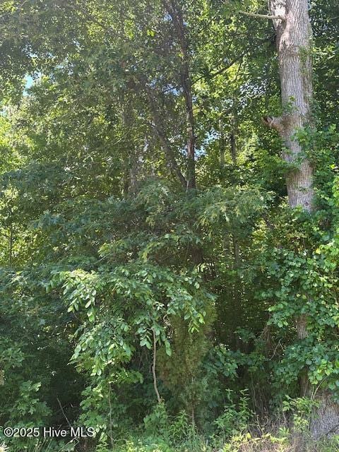 304-306 Pineview Dr, Edenton, NC 27932