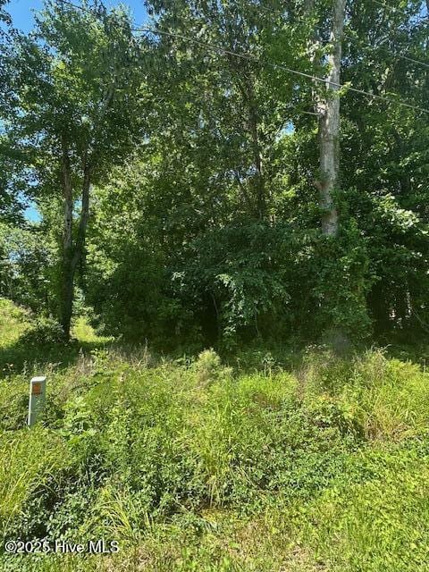 304-306 Pineview Dr, Edenton, NC 27932