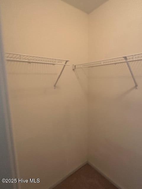 104 Lincoln Place Cir, Leland, NC 28451 - view of spacious closet