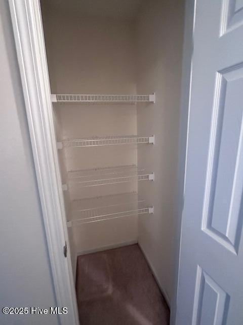 104 Lincoln Place Cir, Leland, NC 28451 - view of closet
