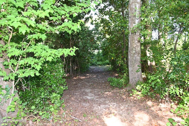 6005 James B Hwy N, Whiteville, NC 28472