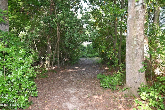 6005 James B Hwy N, Whiteville, NC 28472
