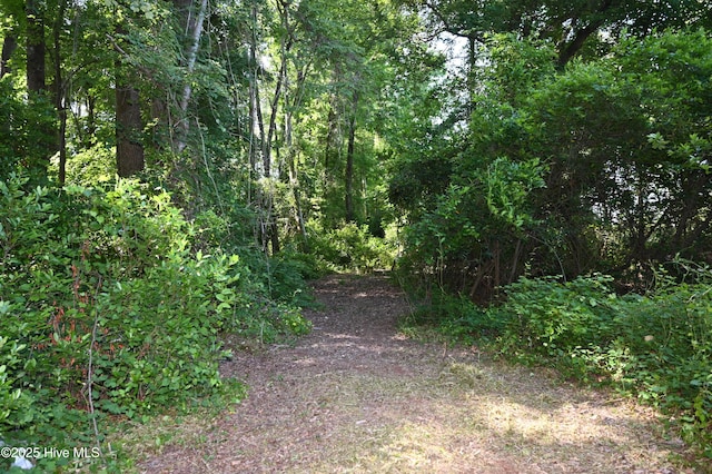 6005 James B Hwy N, Whiteville, NC 28472
