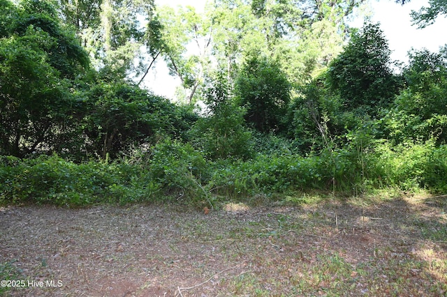 6005 James B Hwy N, Whiteville, NC 28472