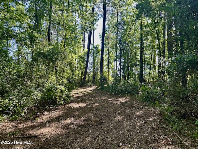6005 James B Hwy N, Whiteville, NC 28472