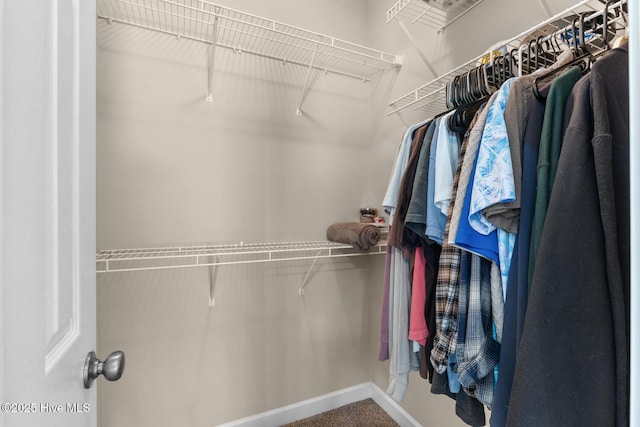 317 Inverness Dr, Hubert, NC 28539 - view of spacious closet