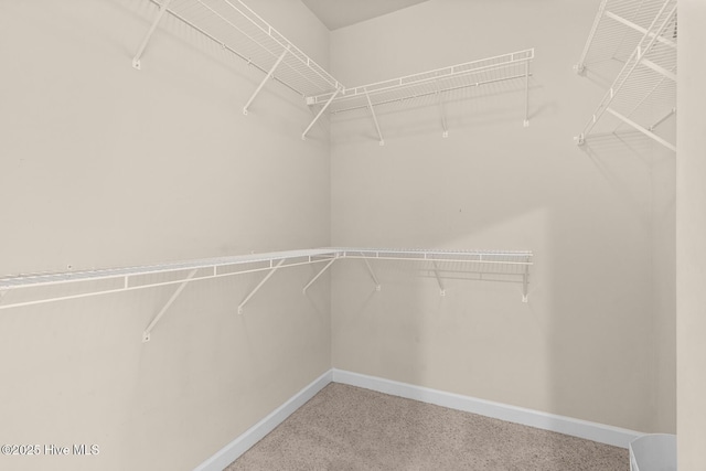 317 Inverness Dr, Hubert, NC 28539 - view of walk in closet