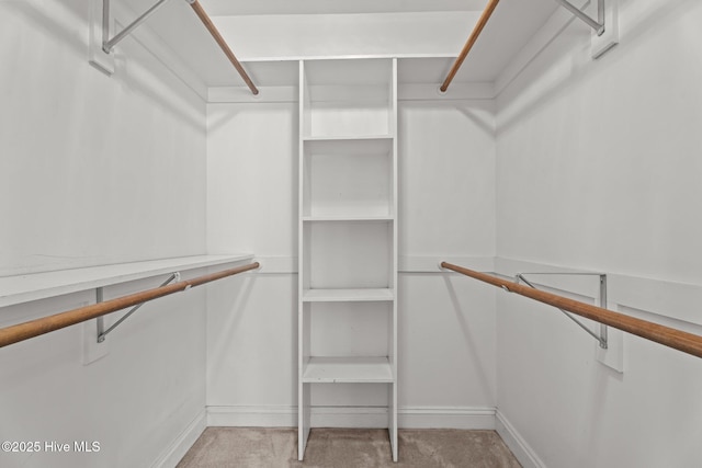 4710 Hudson Rd NW, Wilson, NC 27896 - view of walk in closet