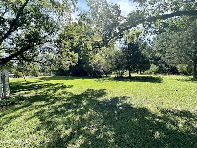 114 Rhodes Ave, Windsor, NC 27983 - view of grassy yard