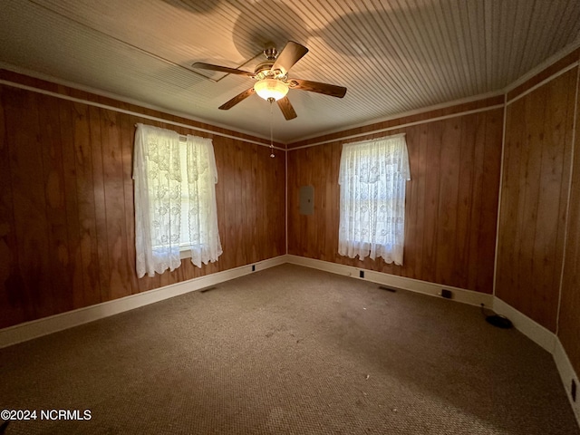 114 Rhodes Ave, Windsor, NC 27983 - spare room with ceiling fan, wood walls, and carpet flooring