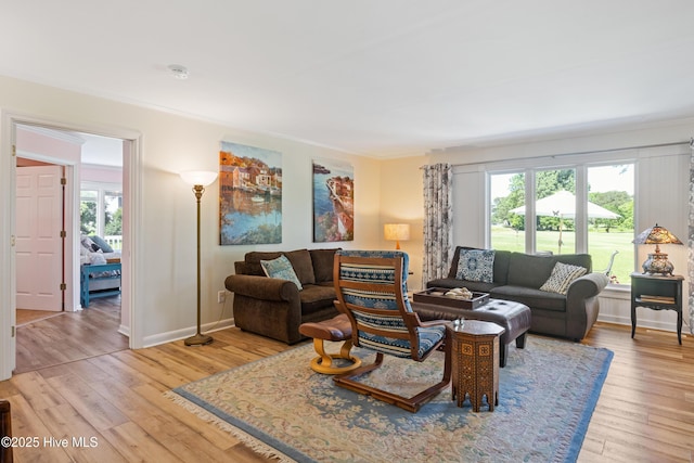 1235 Sound Shore Dr, Edenton, NC 27932 - living room featuring light wood-type flooring, ornamental molding, and baseboards