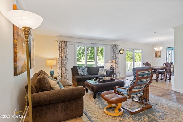 1235 Sound Shore Dr, Edenton, NC 27932 - living room featuring crown molding and wood finished floors