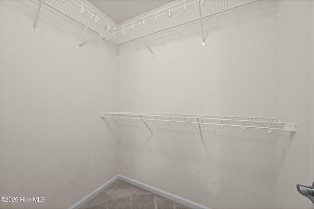 312 Glenellen Loop Rd, Midway Park, NC 28544 - spacious closet featuring carpet floors
