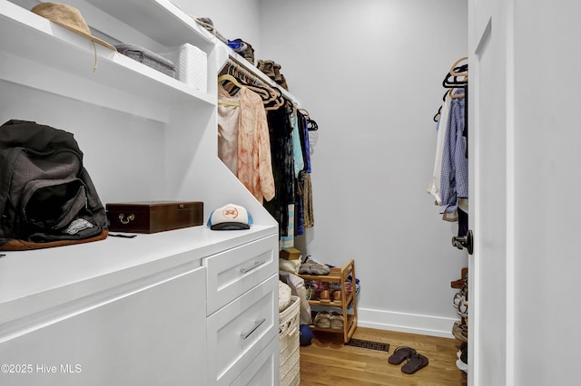 1246 Heron Run Dr, Wilmington, NC 28403 - walk in closet featuring light wood-style flooring