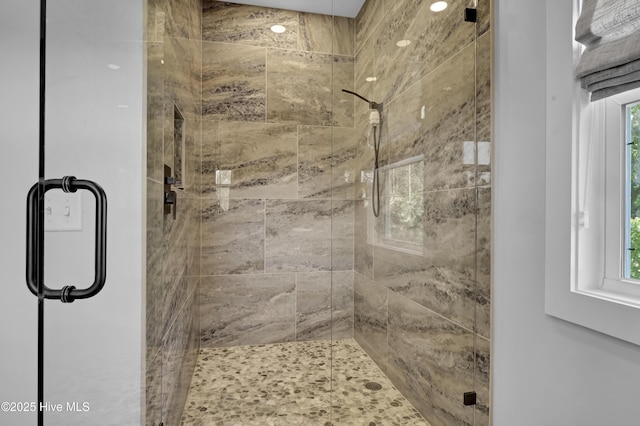 1246 Heron Run Dr, Wilmington, NC 28403 - full bath with a stall shower