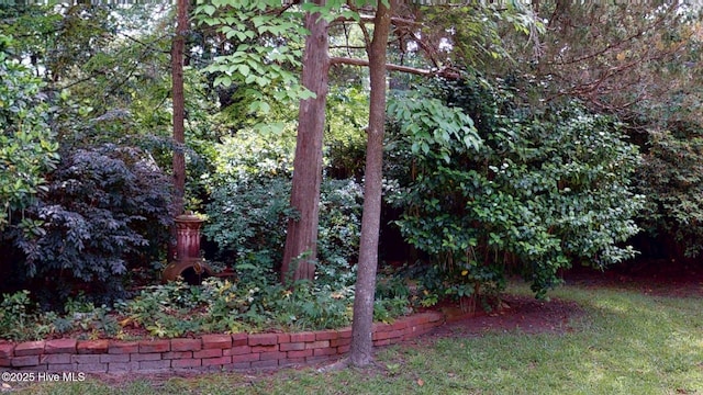 305 E New Hampshire Ave, Southern Pines, NC 28387 - view of yard