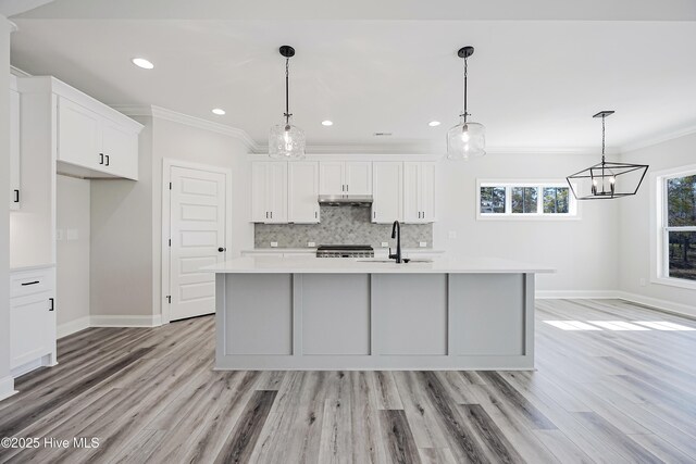 947 Ashburton Rd SE, Bolivia, NC 28422 - kitchen with a sink, light wood-type flooring, light countertops, under cabinet range hood, and backsplash
