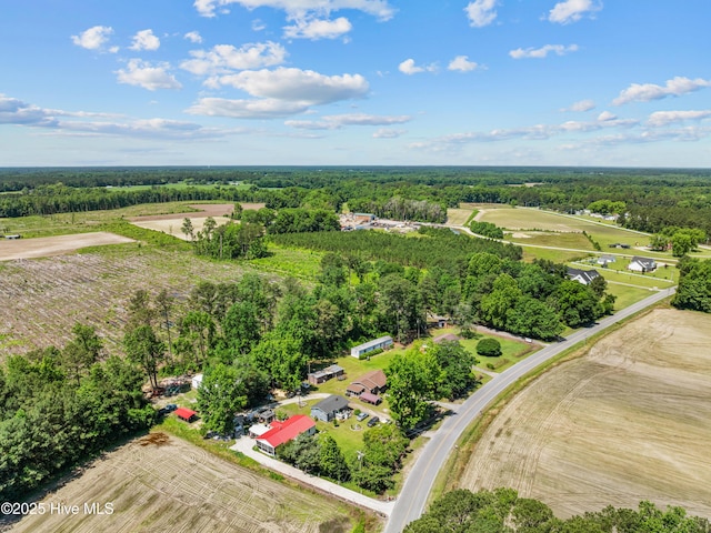 323 Alexander Rouse Rd, Kinston, NC 28504 - view of rural area with a forest