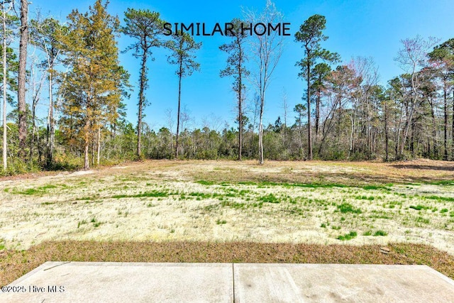 98 NE Dr NW, Calabash, NC 28467 - view of yard featuring a forest view