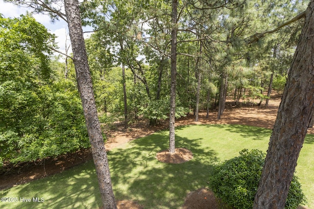 113 Dubose Dr, West End, NC 27376 - view of grassy yard