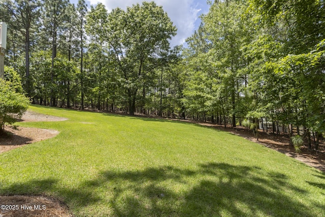 113 Dubose Dr, West End, NC 27376 - view of grassy yard