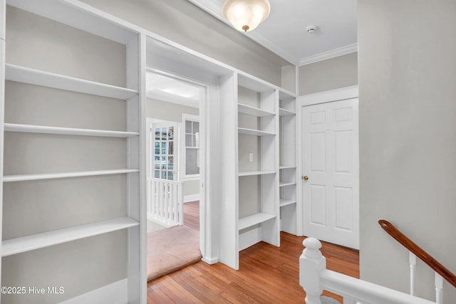 114 N 16th St, Wilmington, NC 28401 - walk in closet featuring wood finished floors