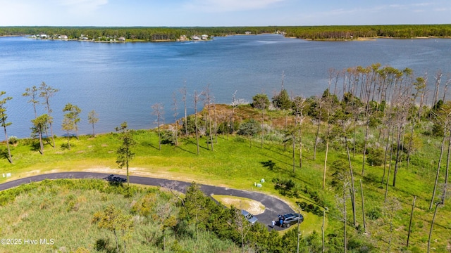 489 Ballast Pt Unit 83, Oriental, NC 28571