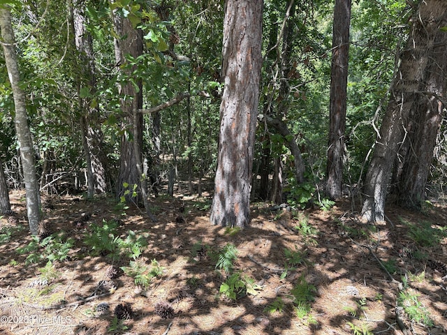 10 Overcup Ln, Pinehurst, NC 28374