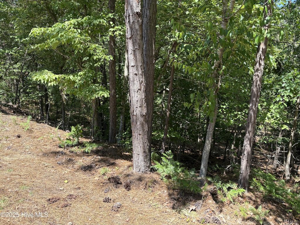10 Overcup Ln, Pinehurst, NC 28374