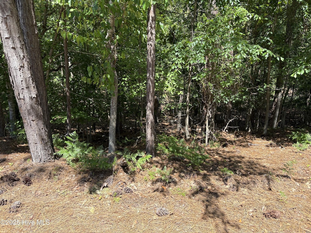 10 Overcup Ln, Pinehurst, NC 28374