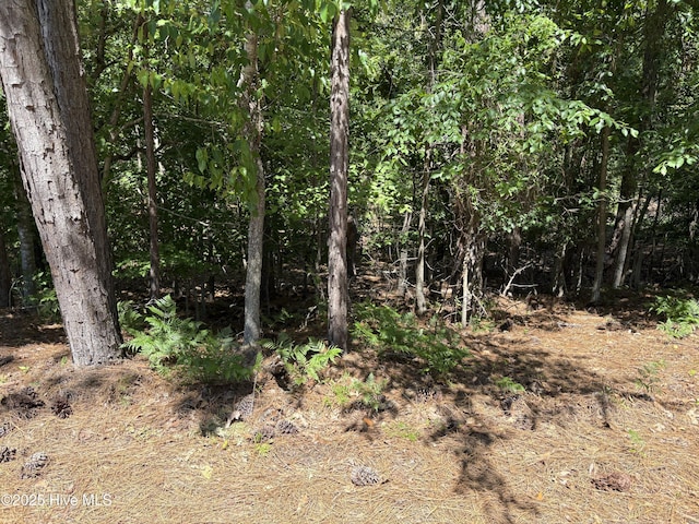 10 Overcup Ln, Pinehurst, NC 28374