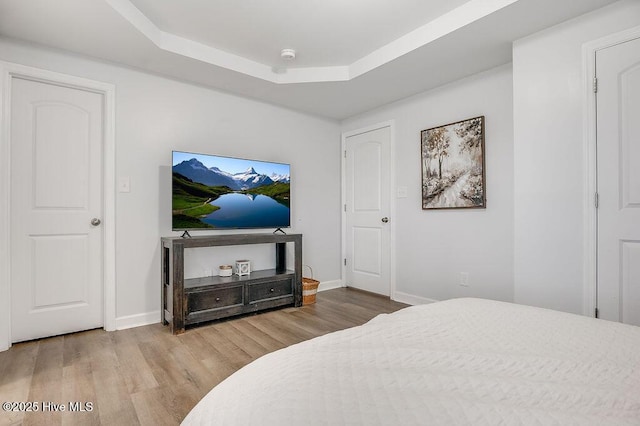 213 Lockwood Ct, Hubert, NC 28539 - bedroom featuring wood finished floors, baseboards, and a tray ceiling