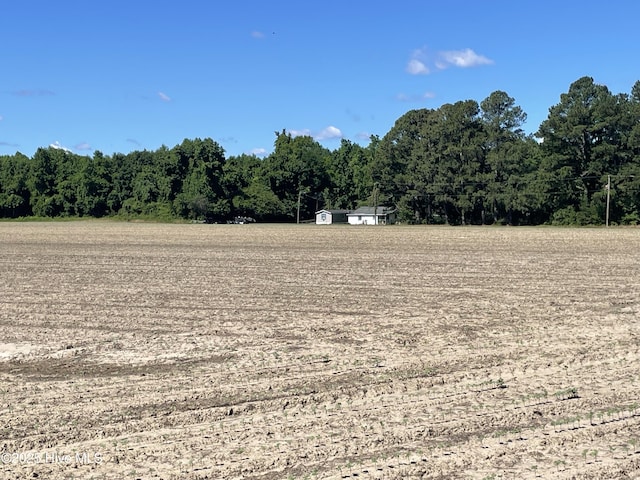 512 Walton Ln, Tyner, NC 27980 - view of yard with a wooded view