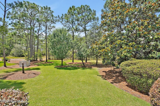 3212 Wexford Way, Southport, NC 28461 - view of green lawn