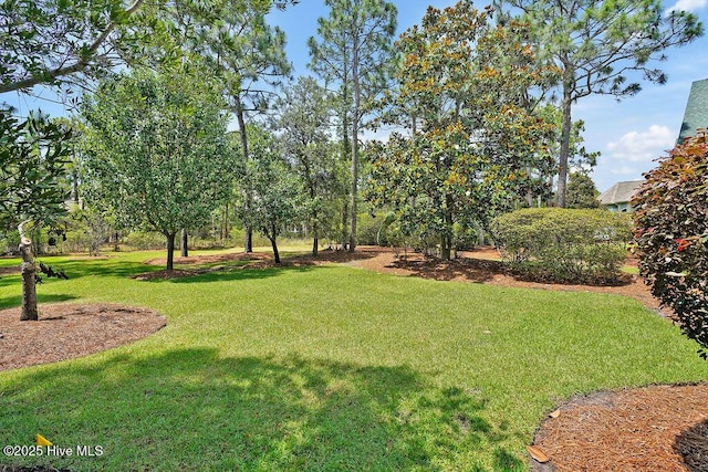 3212 Wexford Way, Southport, NC 28461 - view of grassy yard