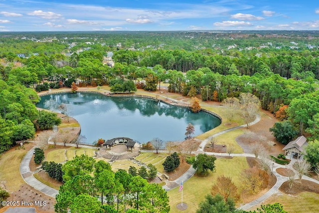 3212 Wexford Way, Southport, NC 28461 - view of property location featuring a large body of water and a forest