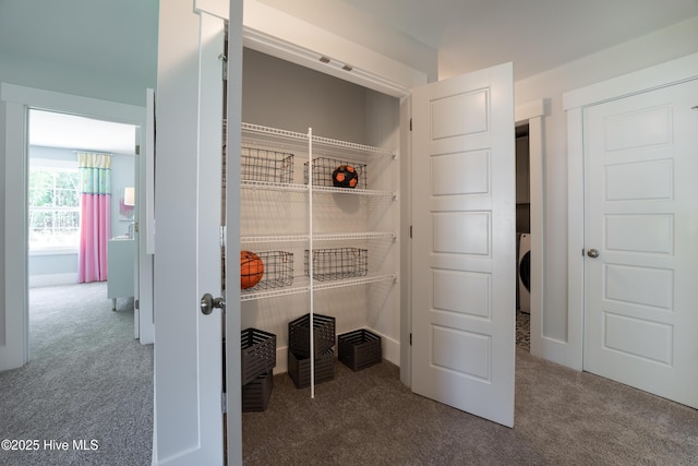 1004 Fawn Valley Way, Wilmington, NC 28409 - closet featuring washer / dryer