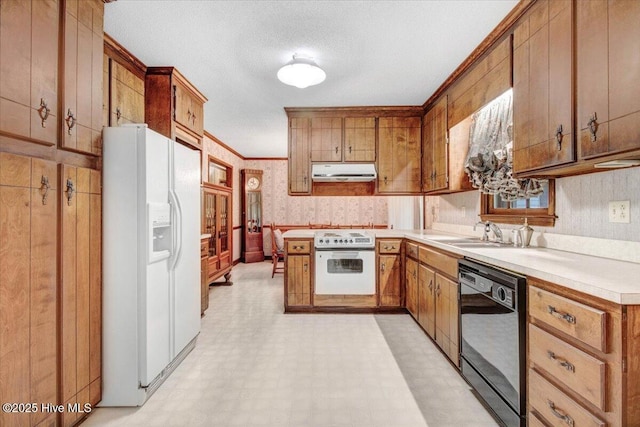 102 Trollingwood Dr, Goldsboro, NC 27534 - kitchen with white appliances, under cabinet range hood, a sink, light flooring, and light countertops