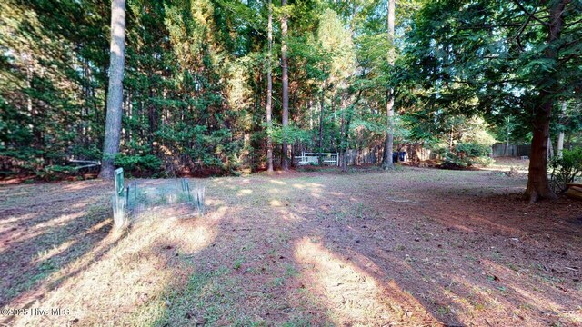 165 Sandhurst Pl, Southern Pines, NC 28387 - view of yard