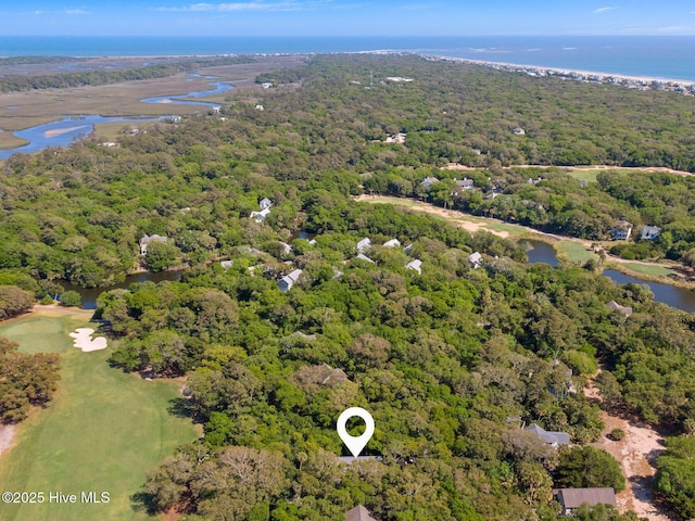 19 Sabal Palm Trl, Bald Head Island, NC 28461 - drone / aerial view of a large body of water and a heavily wooded area