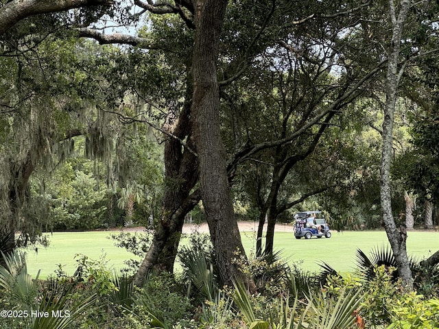 19 Sabal Palm Trl, Bald Head Island, NC 28461 - view of property's community featuring a yard