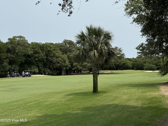 19 Sabal Palm Trl, Bald Head Island, NC 28461 - view of property's community featuring golf course view, a lawn, and view of scattered trees