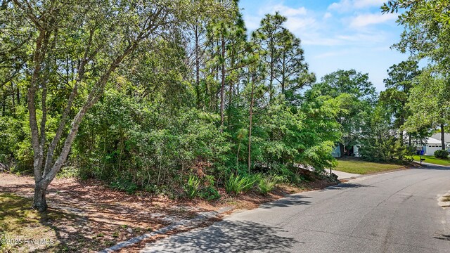 503 Peninsula Drive 54 & 54A, Carolina Beach, NC 28428