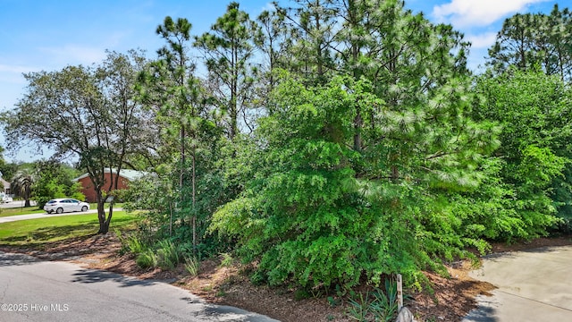 503 Peninsula Drive 54 & 54A, Carolina Beach, NC 28428